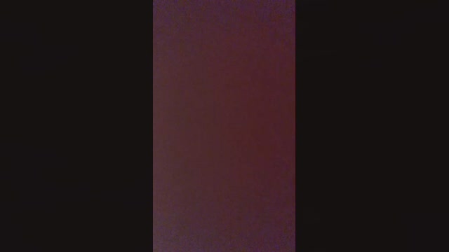 brian242016  06-11-2022